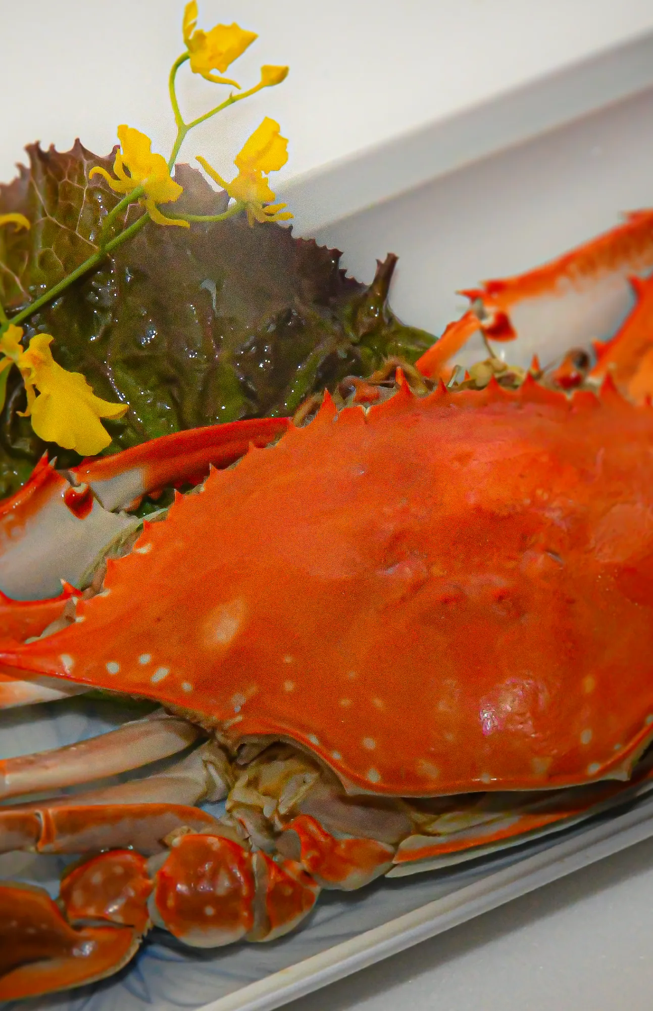 福岡柳川の和食店 まる勝(まるまさ)の蟹料理